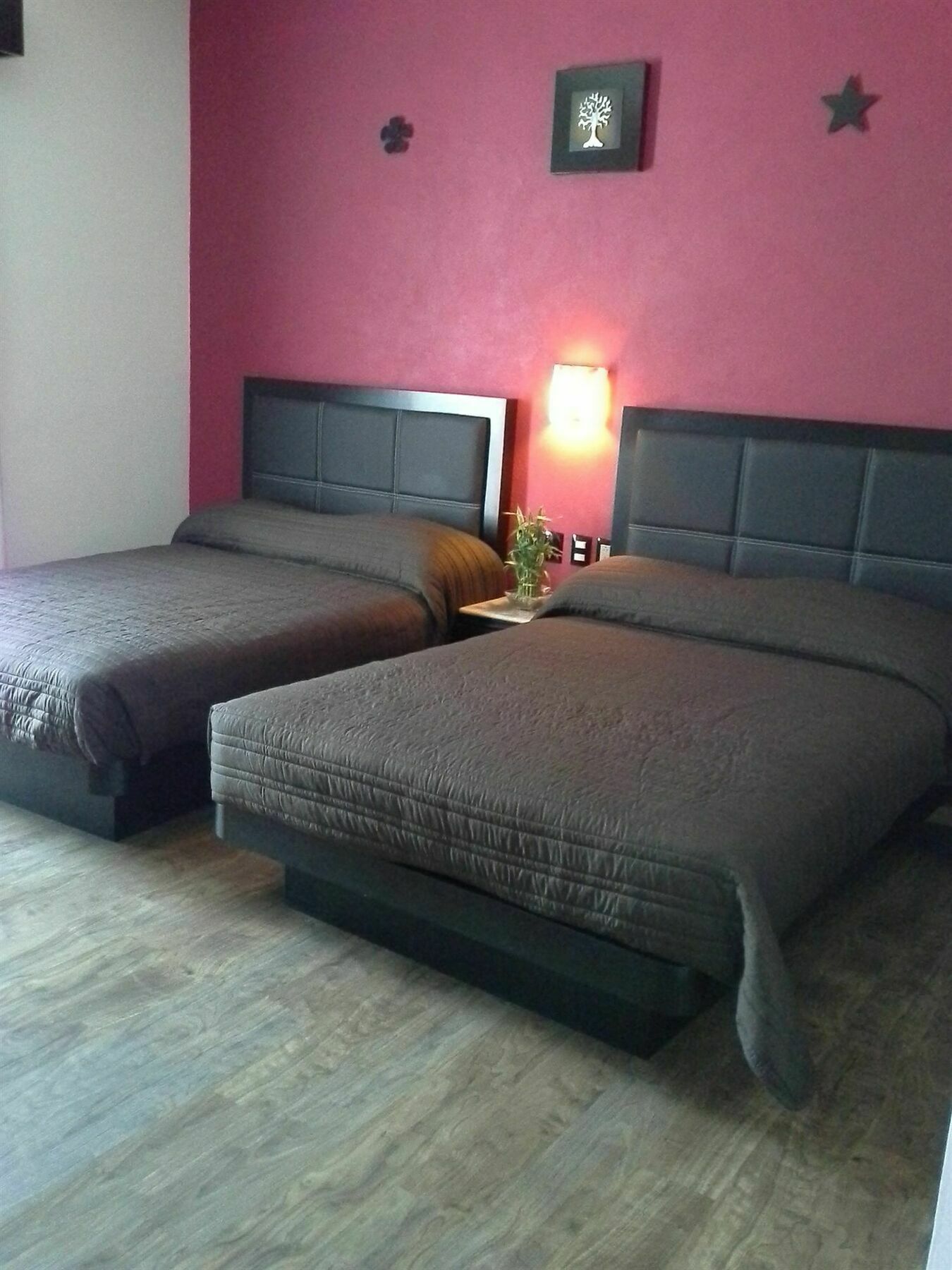 Soleil Inn Atlixco Extérieur photo