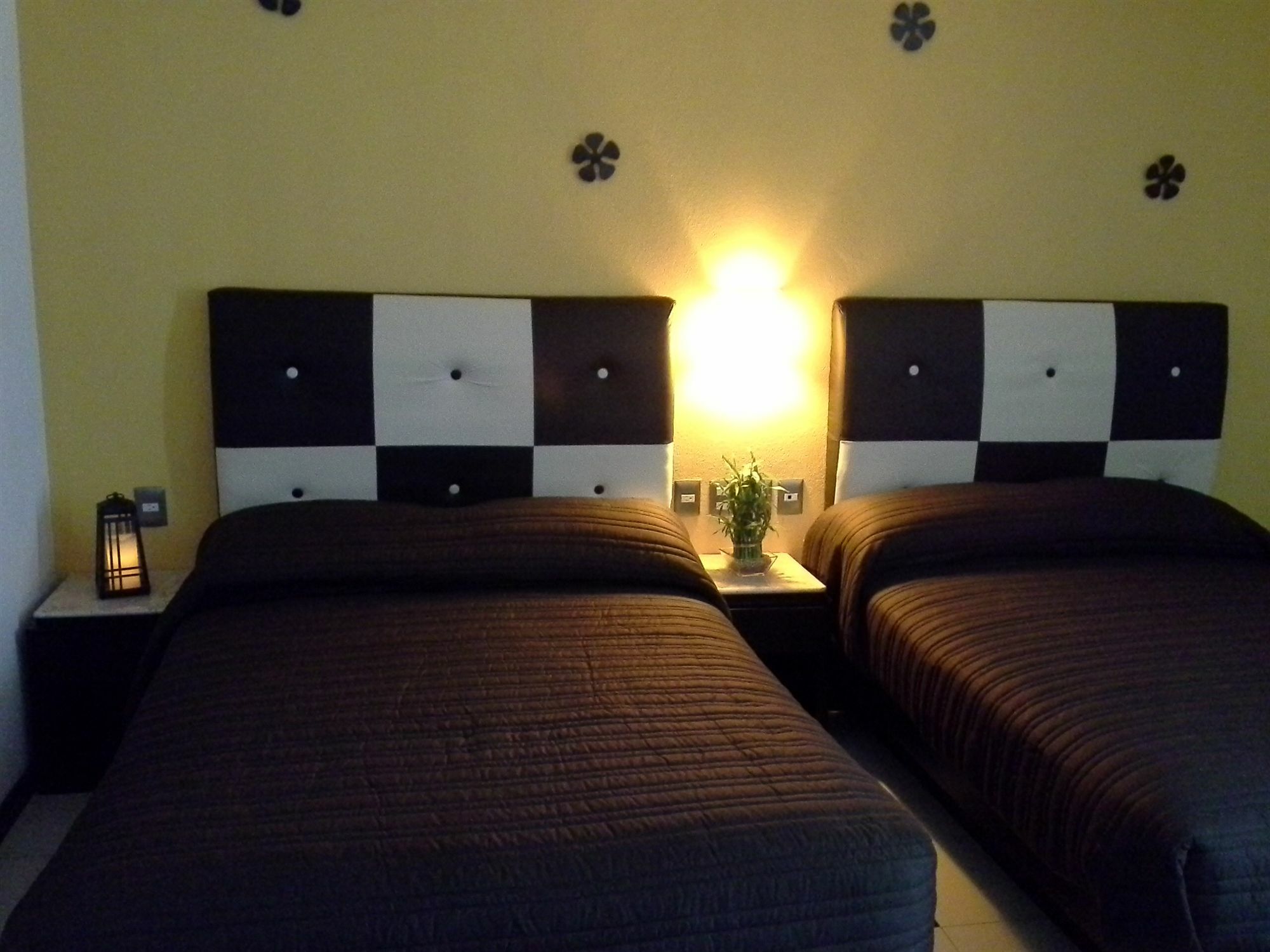 Soleil Inn Atlixco Extérieur photo
